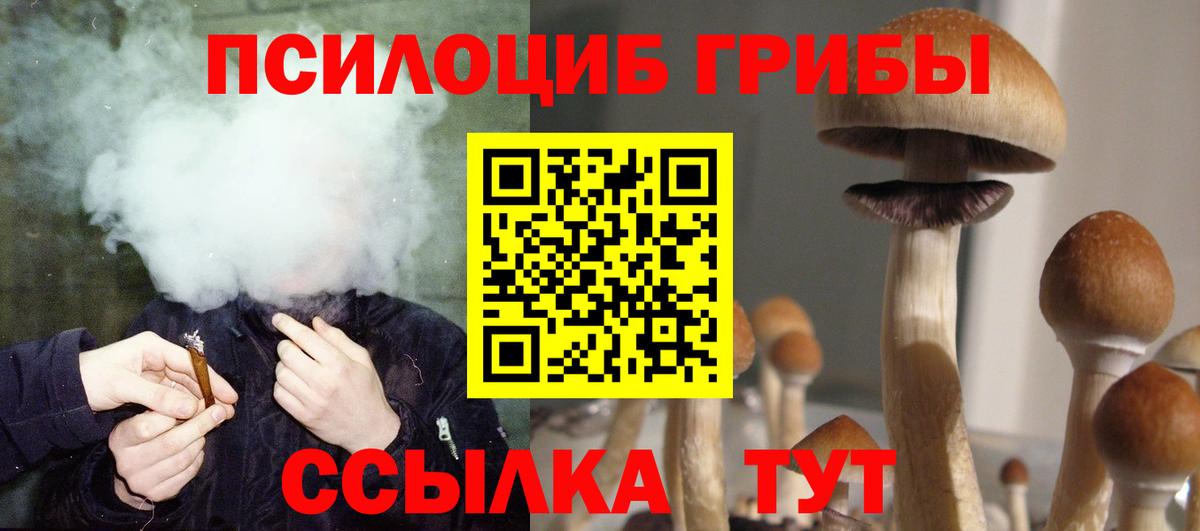 Галлюциногенные грибы Magic Shrooms Крымск